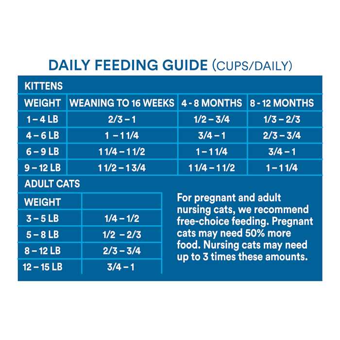 Grain Free Salmon Formula Dry Cat Food X849676