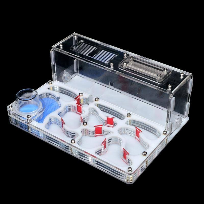 Acrylic Ant Nest with Feeding Area T622
