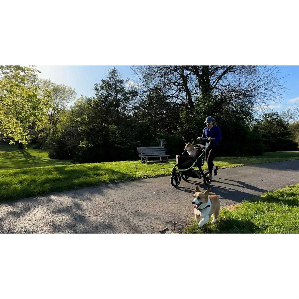All Terrain Pet Jogging Stroller C1467