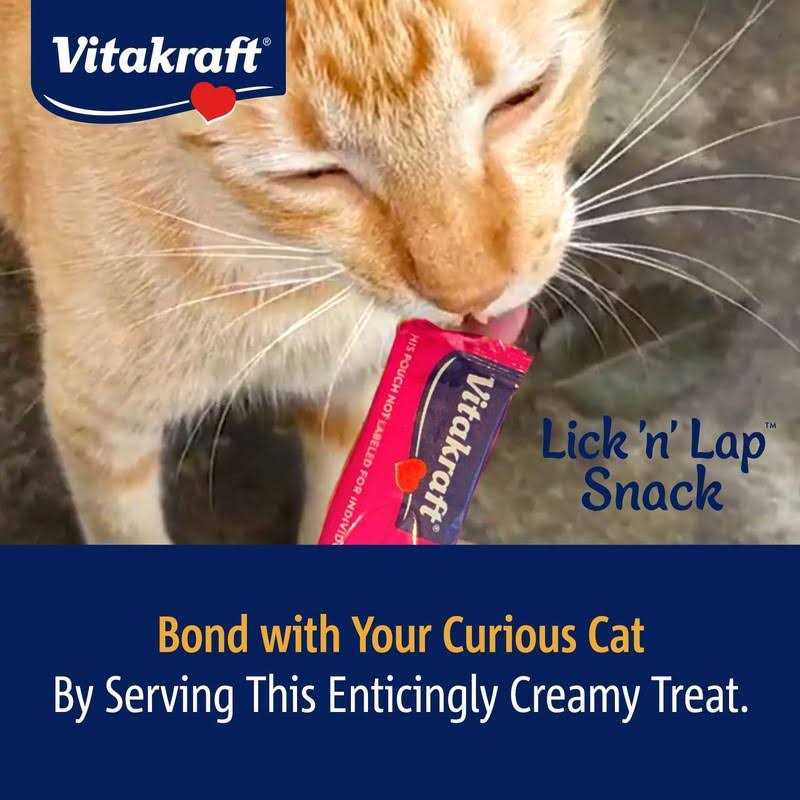 Cat Treat X4785