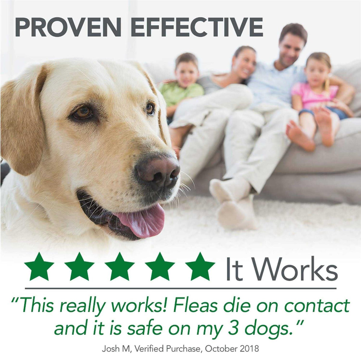Flea Tick Home Spray U528657