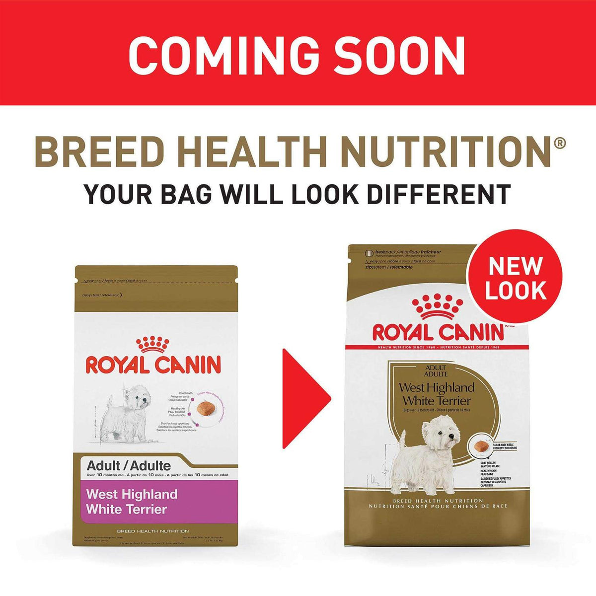 Adult Dry Dog Food Z78525