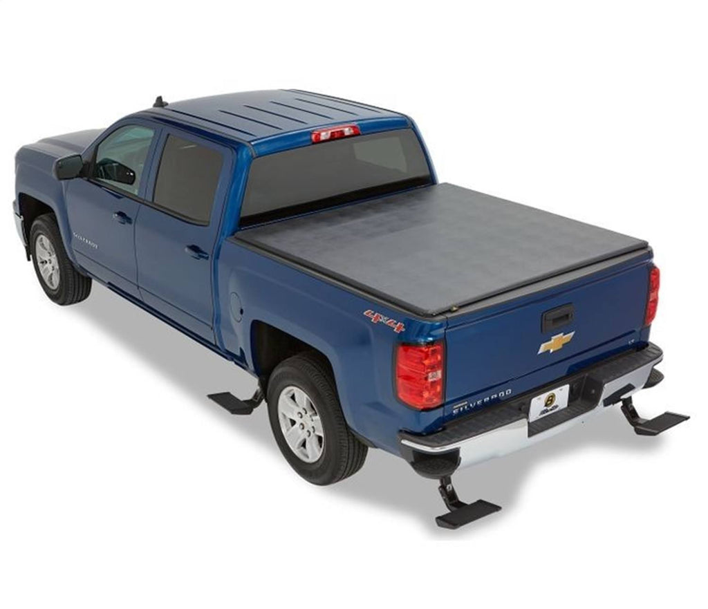 Rear Mount Step E5235