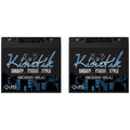600 Watt Car Audio Battery 2 Pack F826