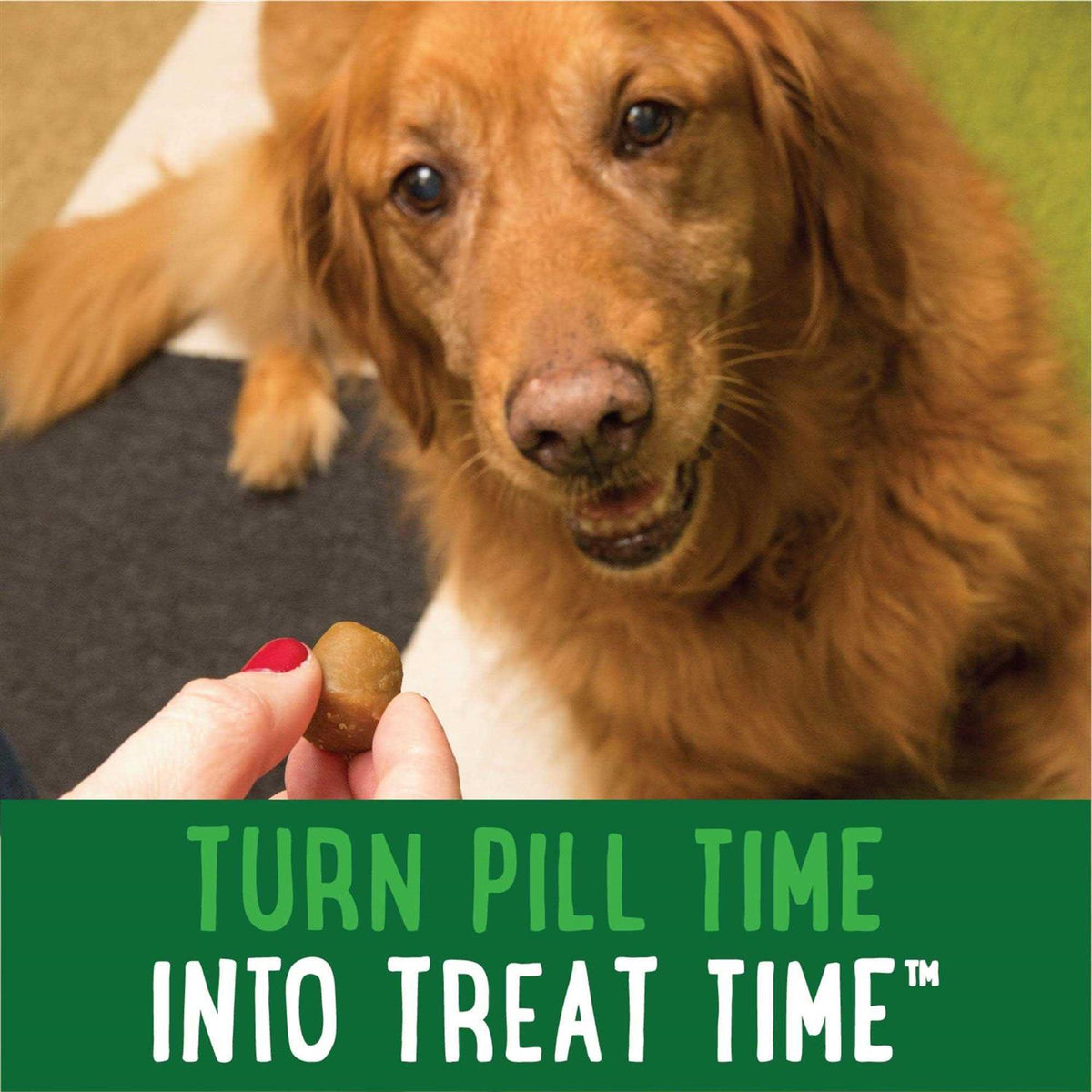 Dog Treats P694
