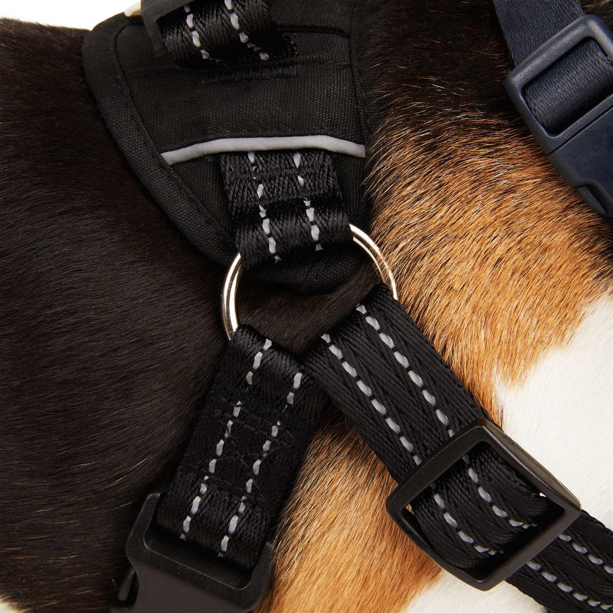 Easy On Training Dog Harness O751
