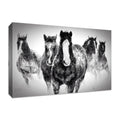 45x22 x 30x22 Fine Art Giclee Print B705239