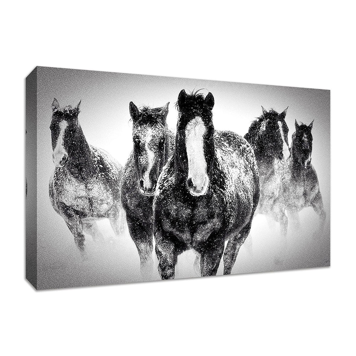45x22 x 30x22 Fine Art Giclee Print B705239