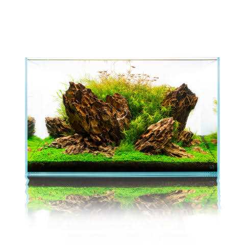 20 Gallon Ultra Clear Rimless Aquarium P8917
