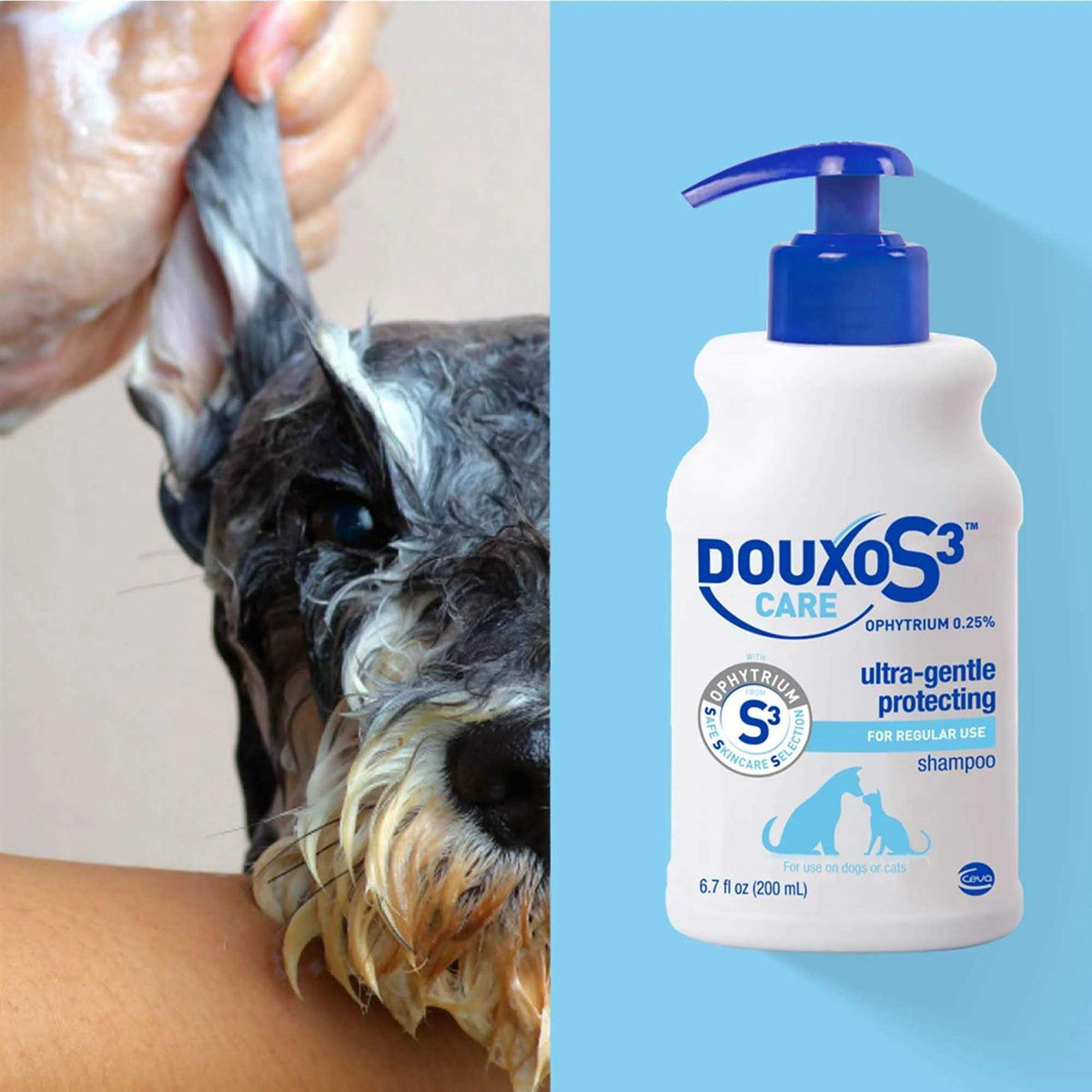 Douxo S3 Care Shampoo 200ml Q123