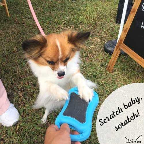 Square Dog & Cat Grooming Toy Y233