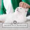 Chicken Feast in Gravy Cat Food Can R98746