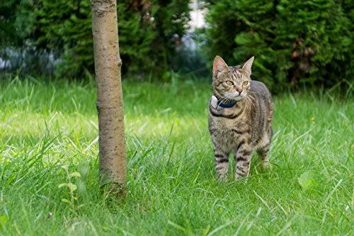 Pet Safety Tracker RF Technology Dog and Cat R106430