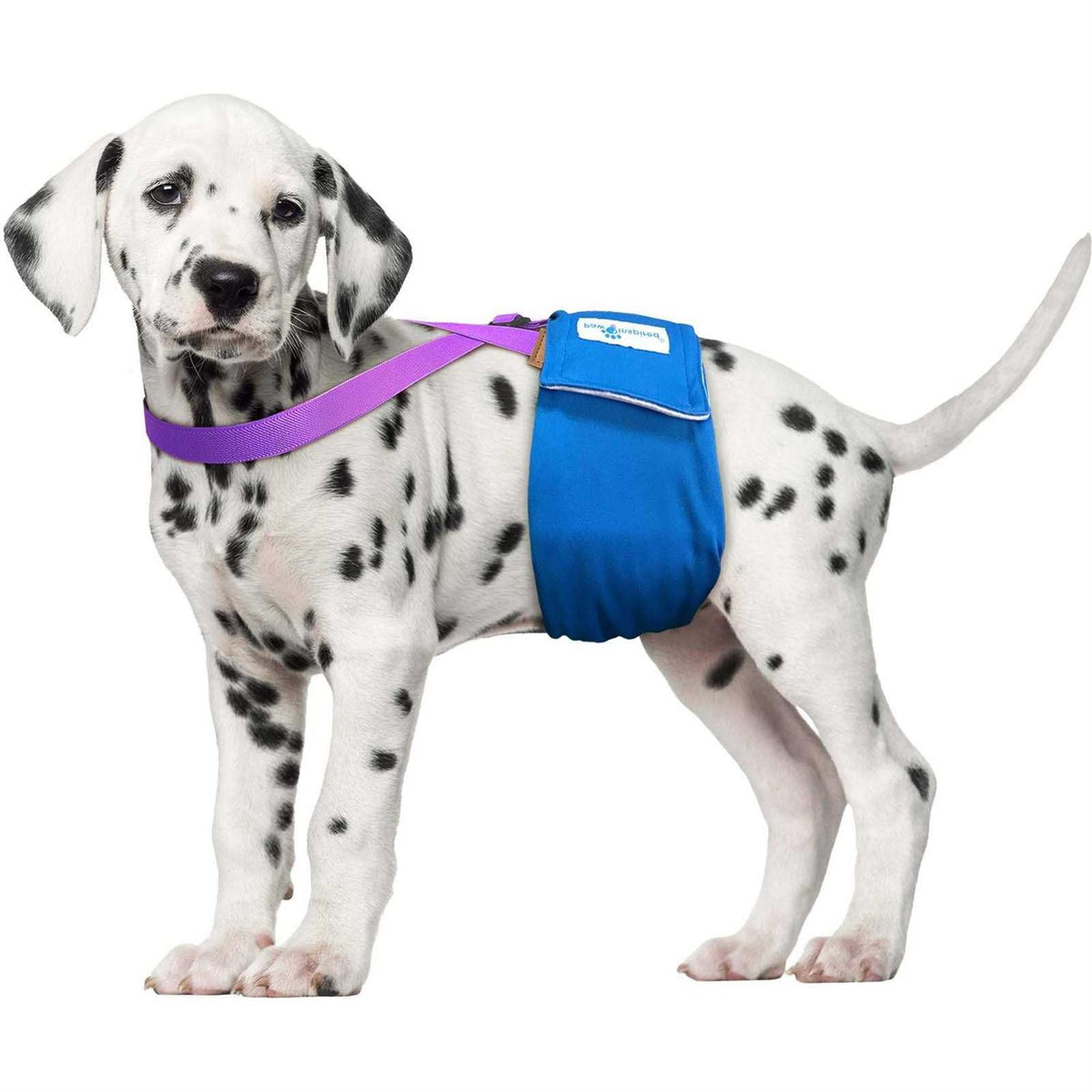 Dog Diaper Suspenders B5904