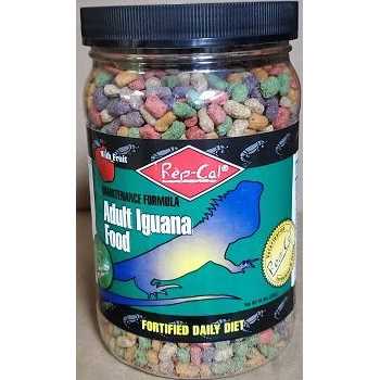 Adult Iguana Food J362
