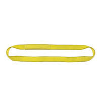1 Ply 12x22 x 9& Endless Polyester Web Sling I7346