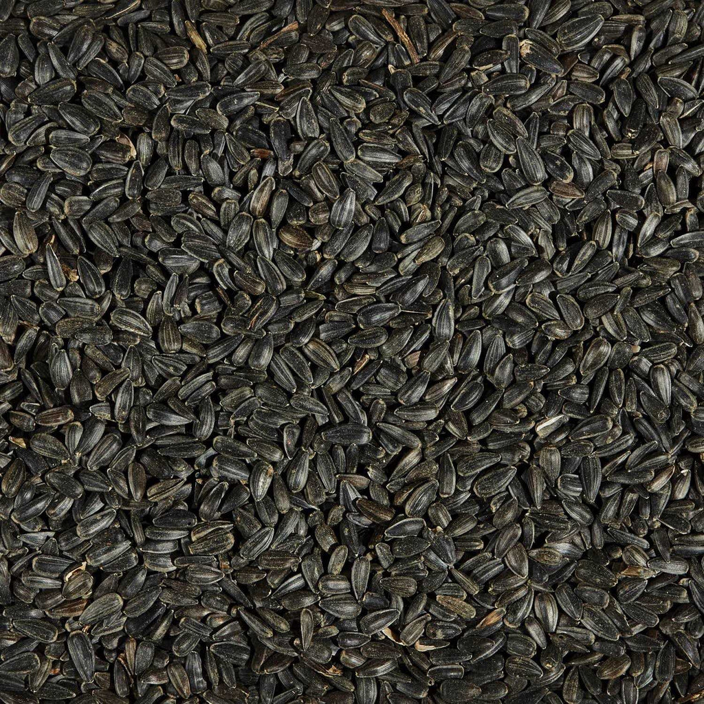 Black Oil Sunflower Seed Wild Bird Food X932