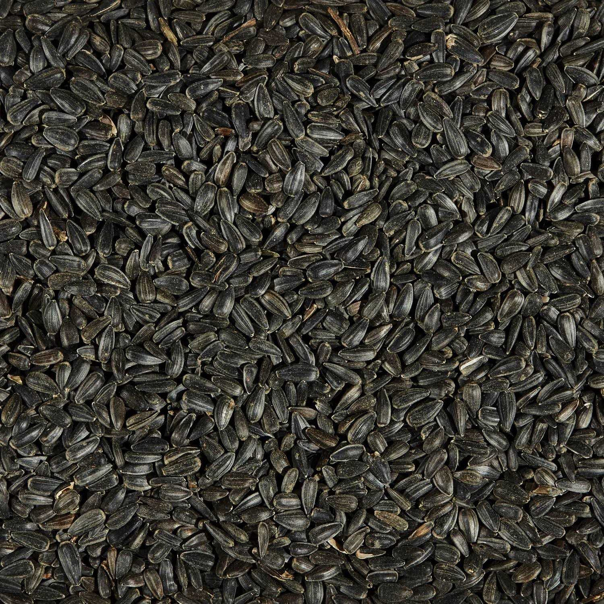 Black Oil Sunflower Seed Wild Bird Food X932