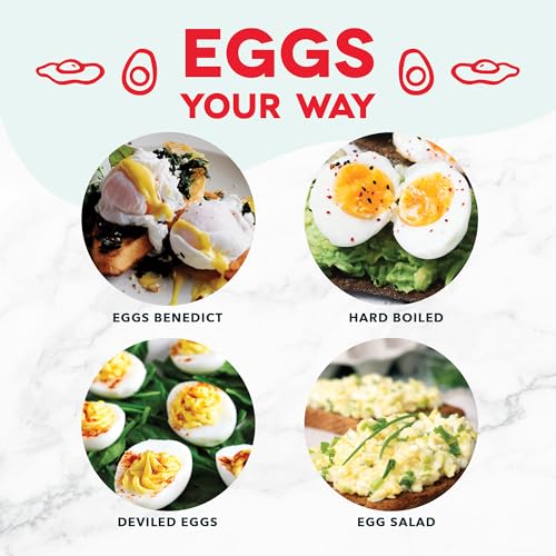 6 Egg Capacity Electric Egg Cooker D201