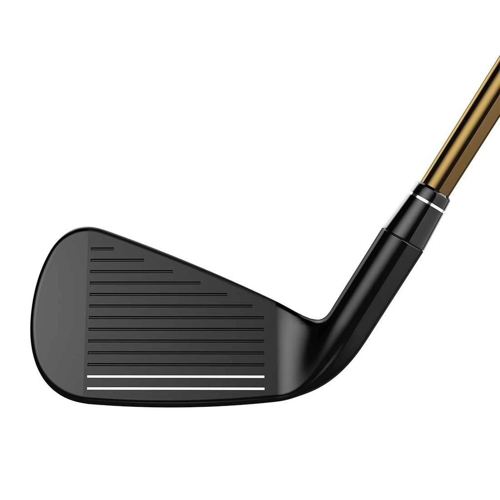Individual Iron D3930