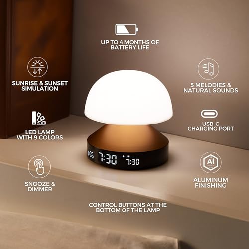 Gun Metal Alarm Clock C5129