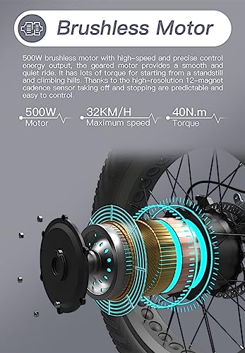 26" x 2.1 Fat Tire Electric Bicycle with 500w Motor 48V 10.4Ah Removable Lithium Battery P903