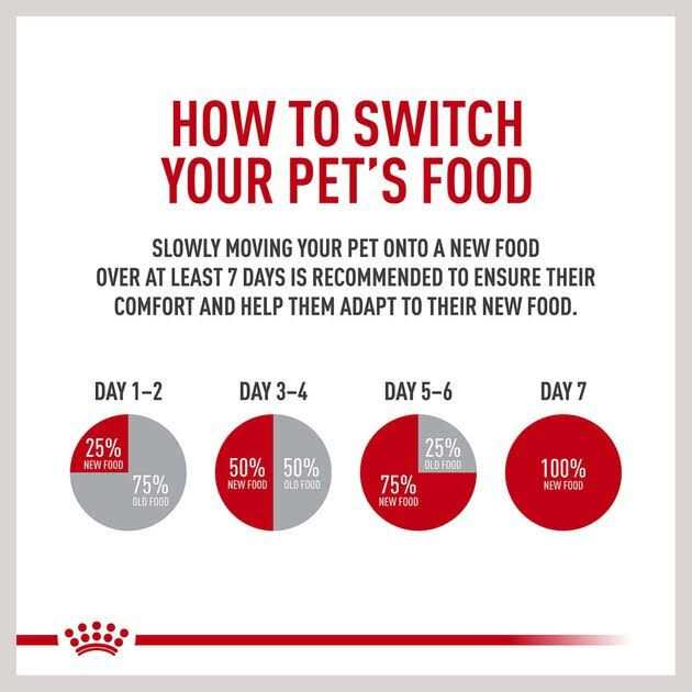 Small Adult Wet Dog Food Q207564