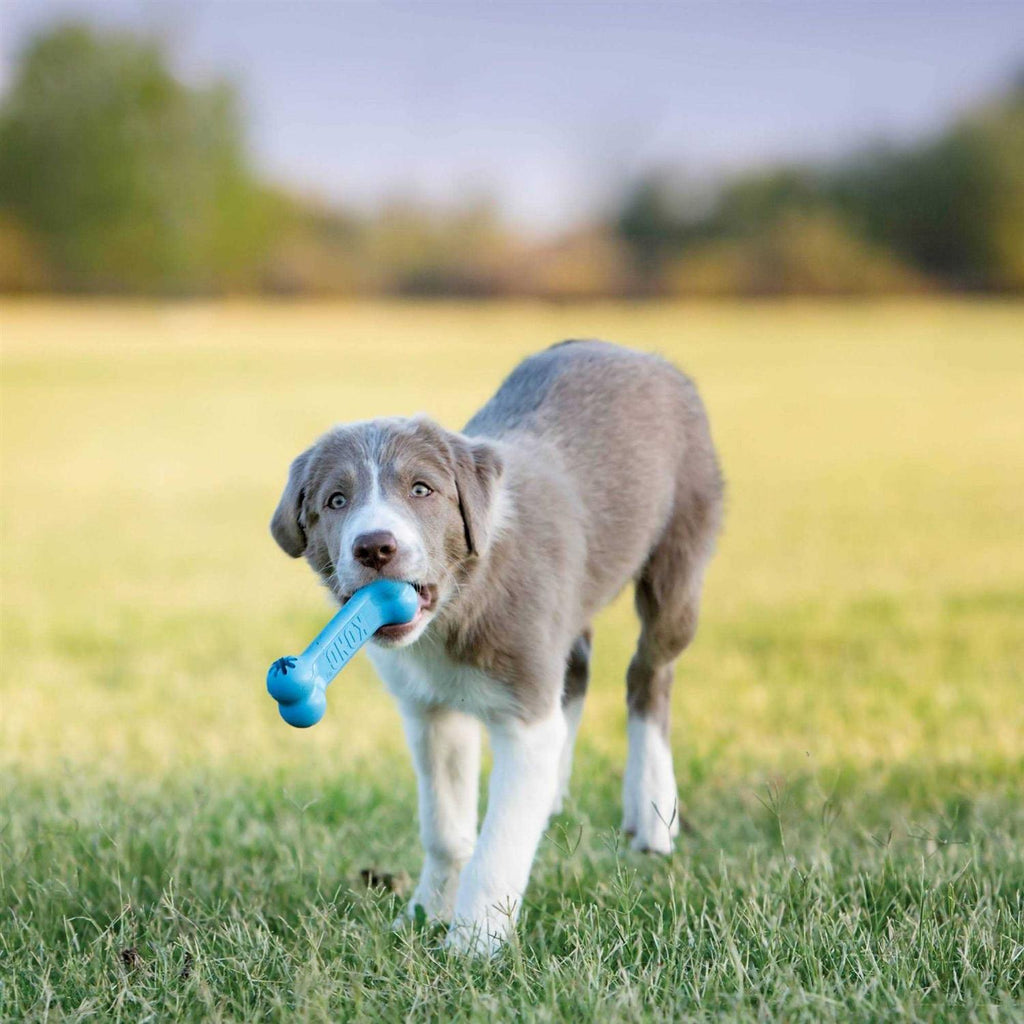 Goodie Bone Puppy Toy S125