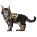 Tactical Cat Harness Soft Mesh Adjustable Pet Vest Harness I561