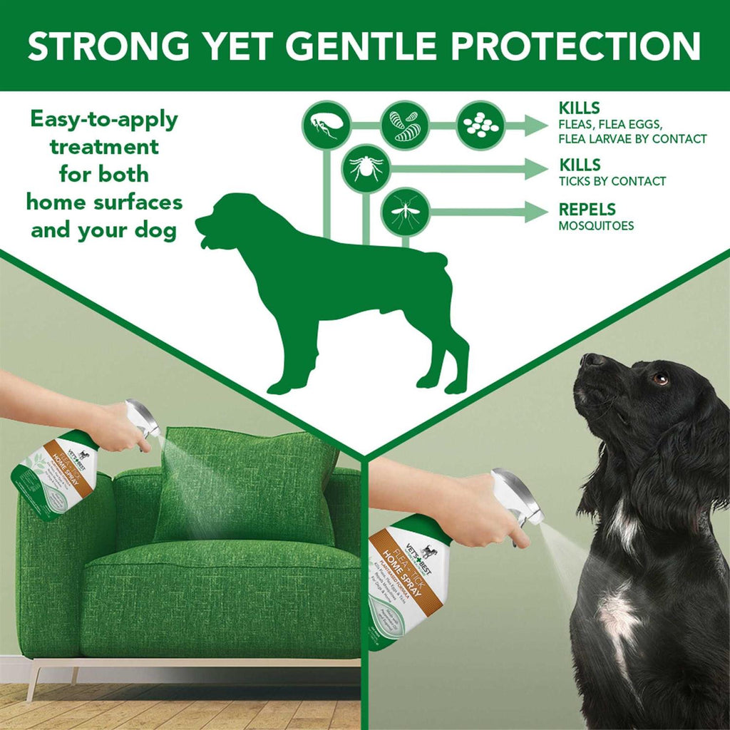 Flea Tick Home Spray U528657