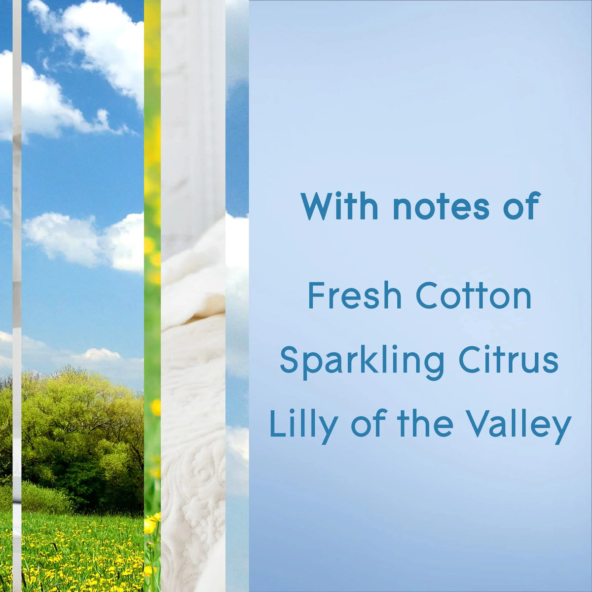 Clean Linen Room Air Freshener Spray, 8.3 Oz (Pack of 24) B610