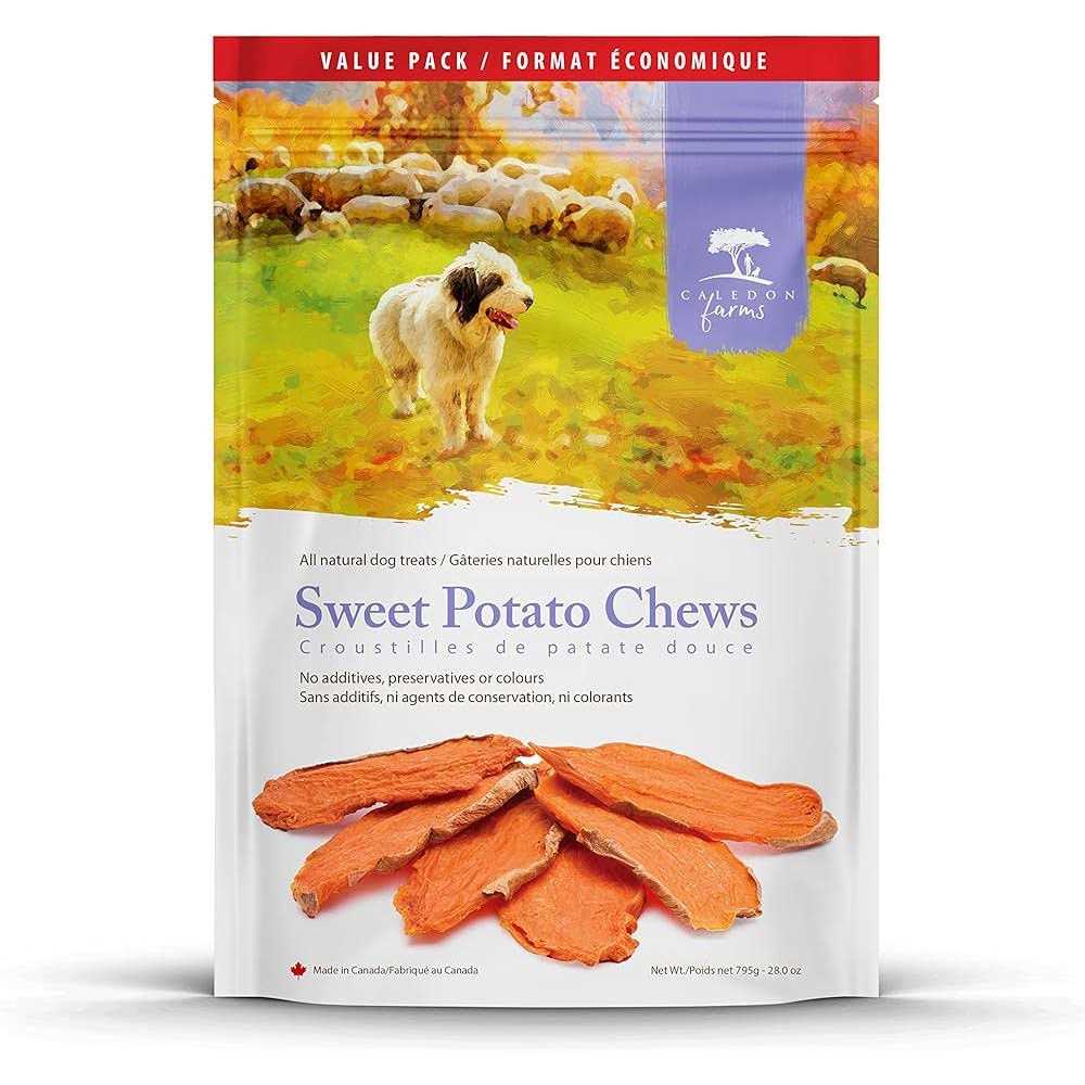 Sweet Potato Dog Treats G877900