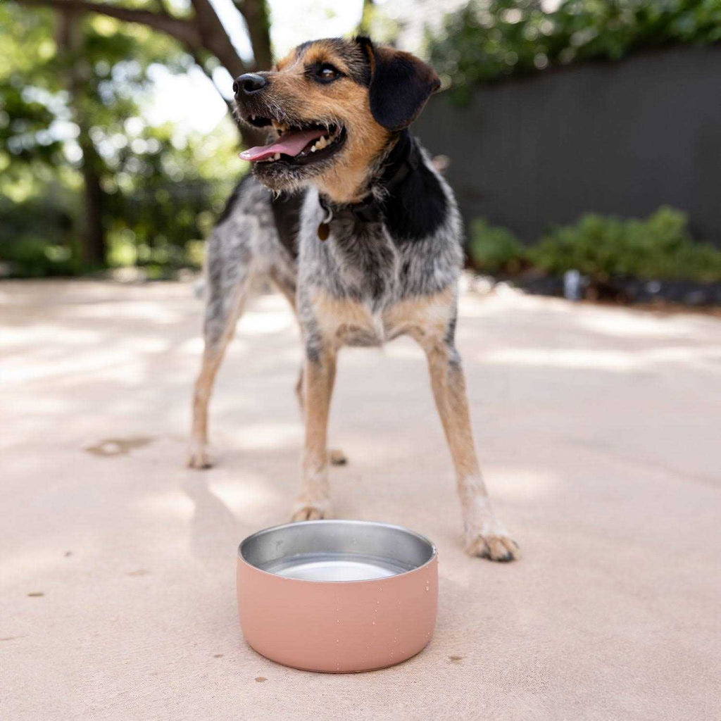 Stainless Steel Pet Water Bowl Q1864