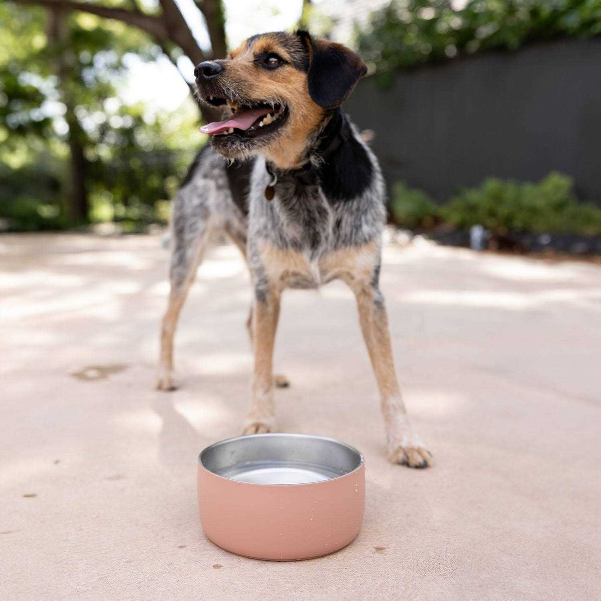 Stainless Steel Pet Water Bowl Q1864