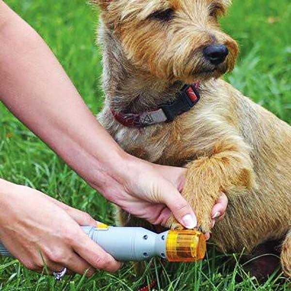 Pet Nail Trimmer S29187