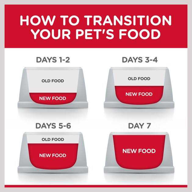 Dry Dog Food W303