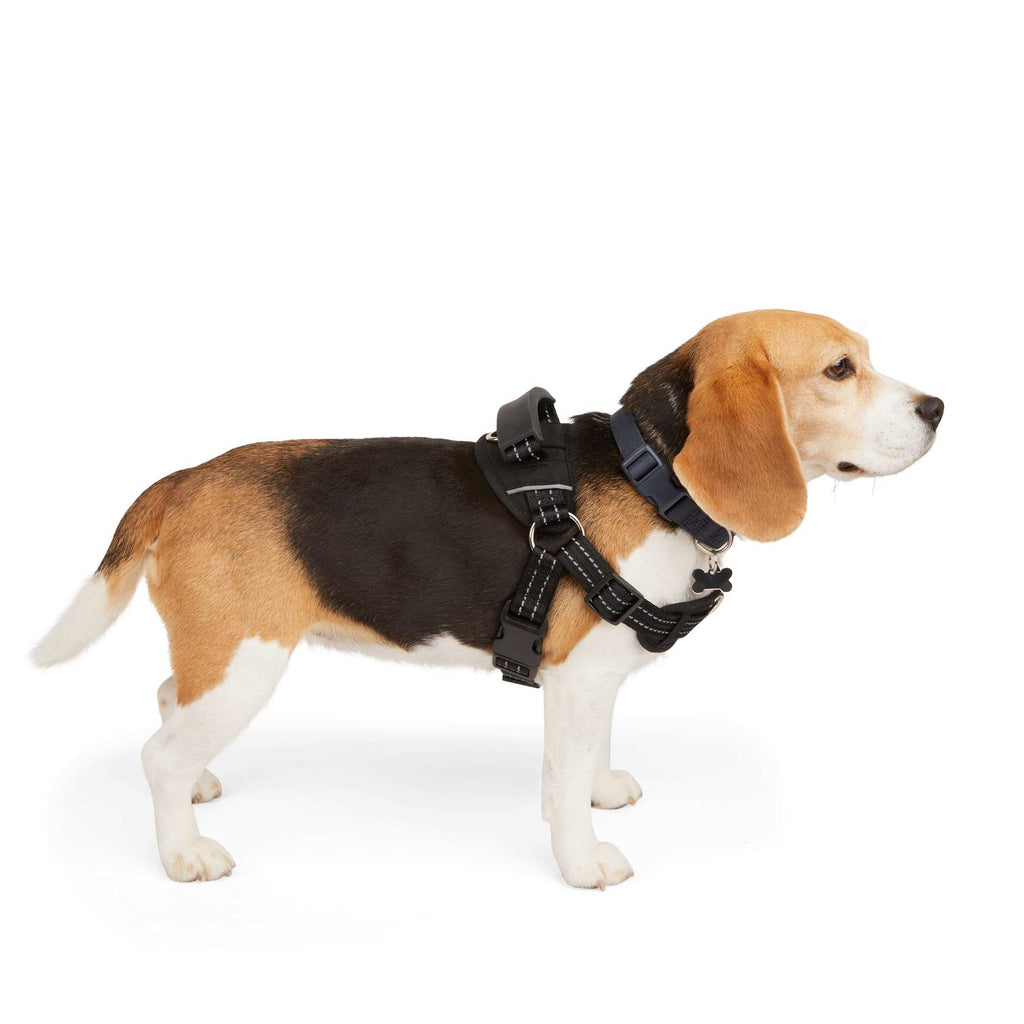 Easy On Training Dog Harness O751