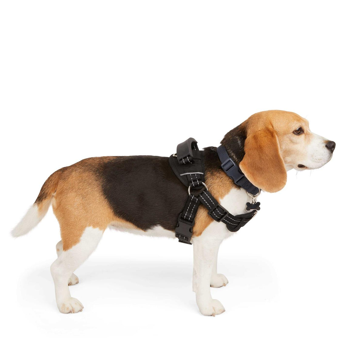 Easy On Training Dog Harness O751