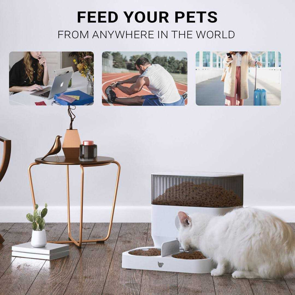 Double Automatic Pet Feeder G820