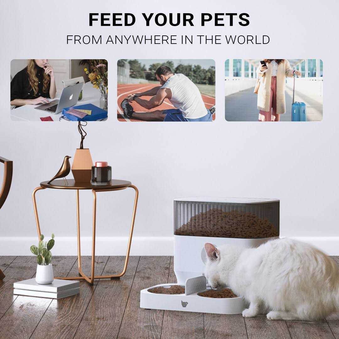 Double Automatic Pet Feeder G820