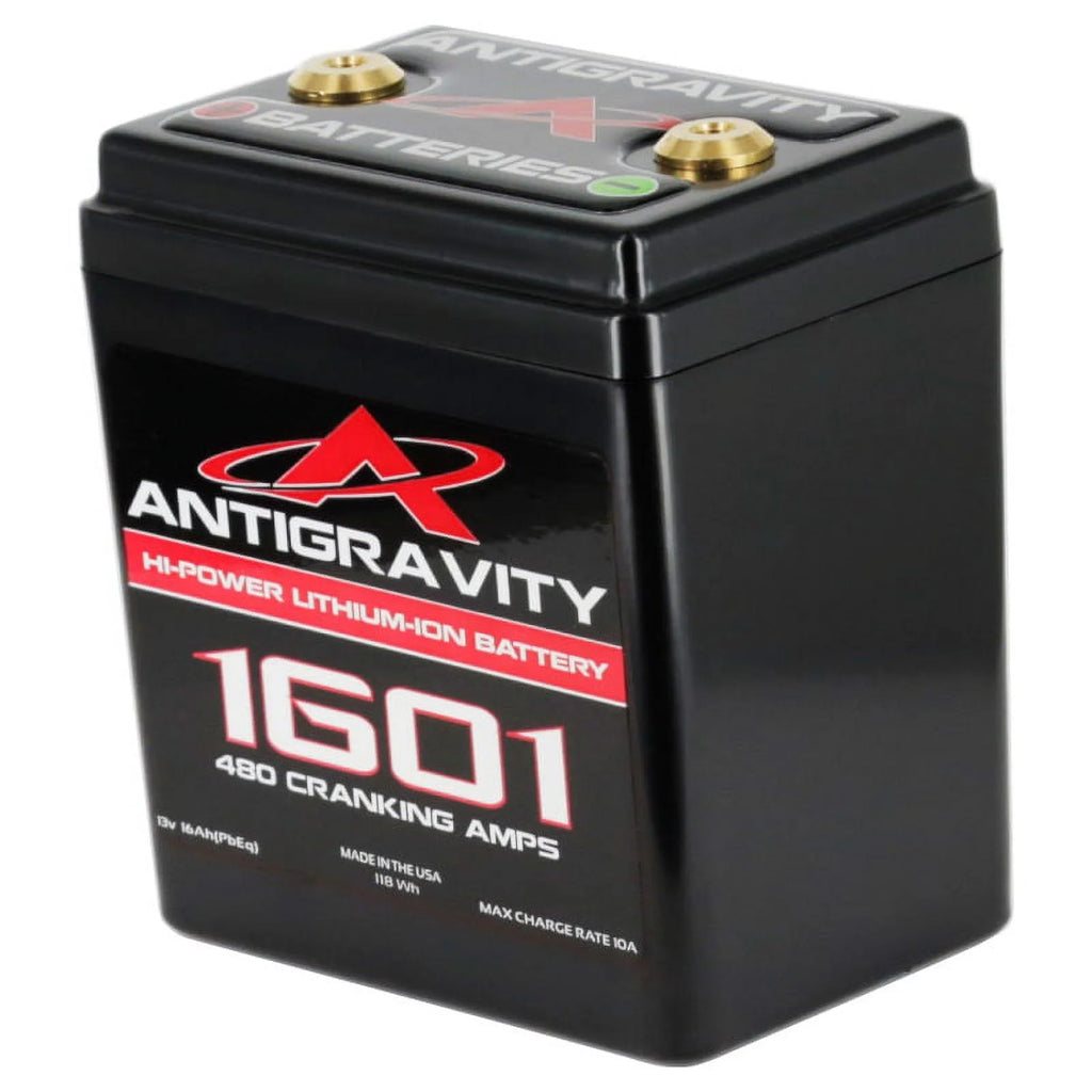 Lithium Battery Small Case 16-cell 480 CA D19598