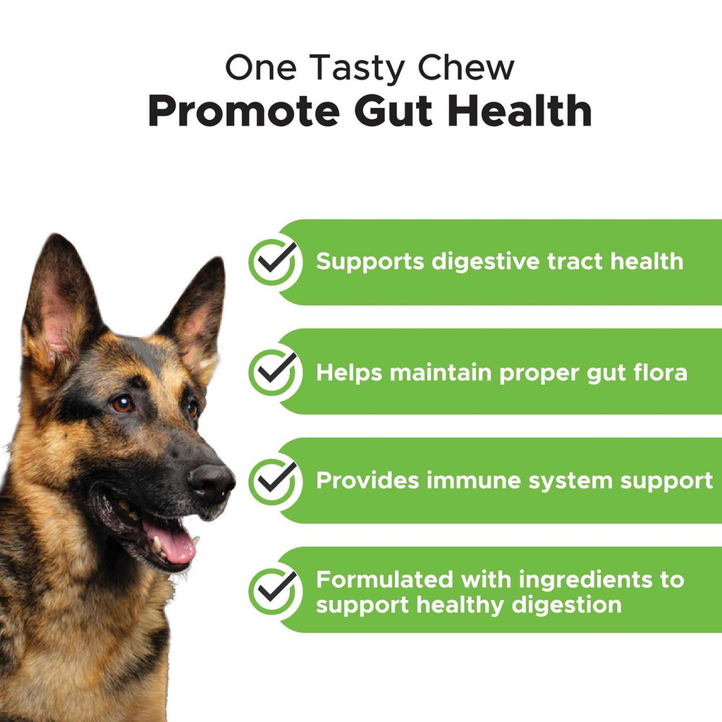 Probiotics Soft Chews X157402