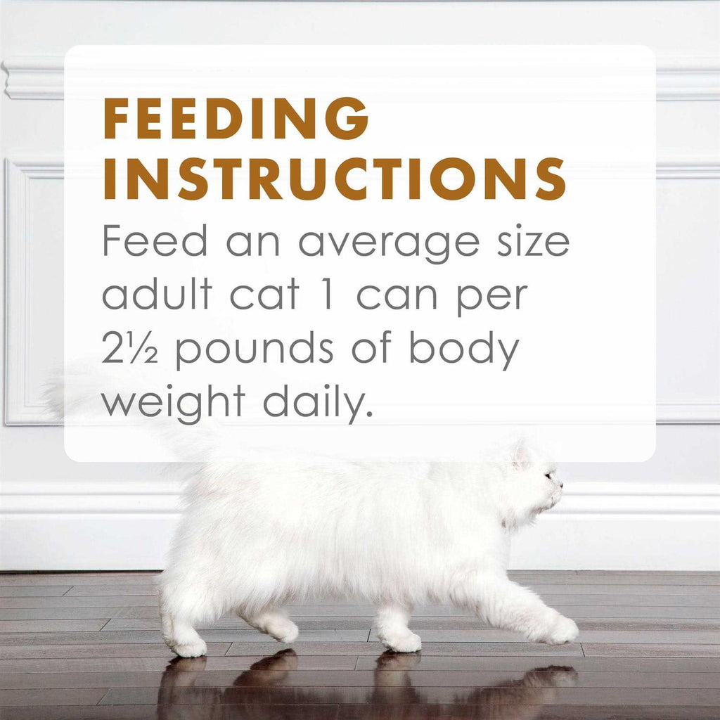 Chicken Feast in Gravy Cat Food Can R98746