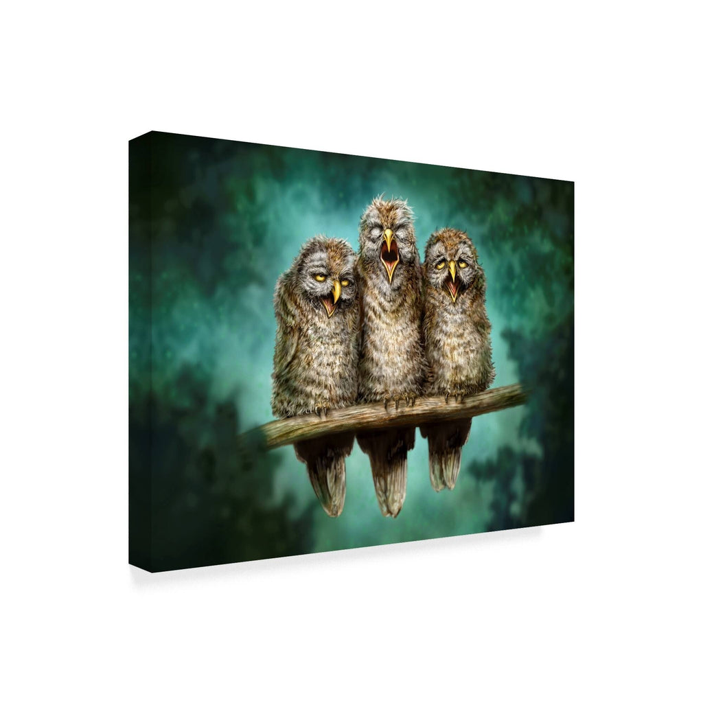 Canvas Art 35x47 P837