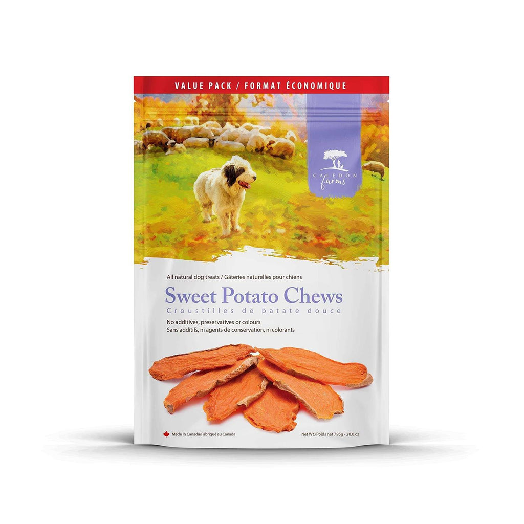 Sweet Potato Dog Treats G877900