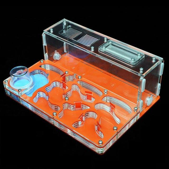 Acrylic Ant Nest with Feeding Area T622