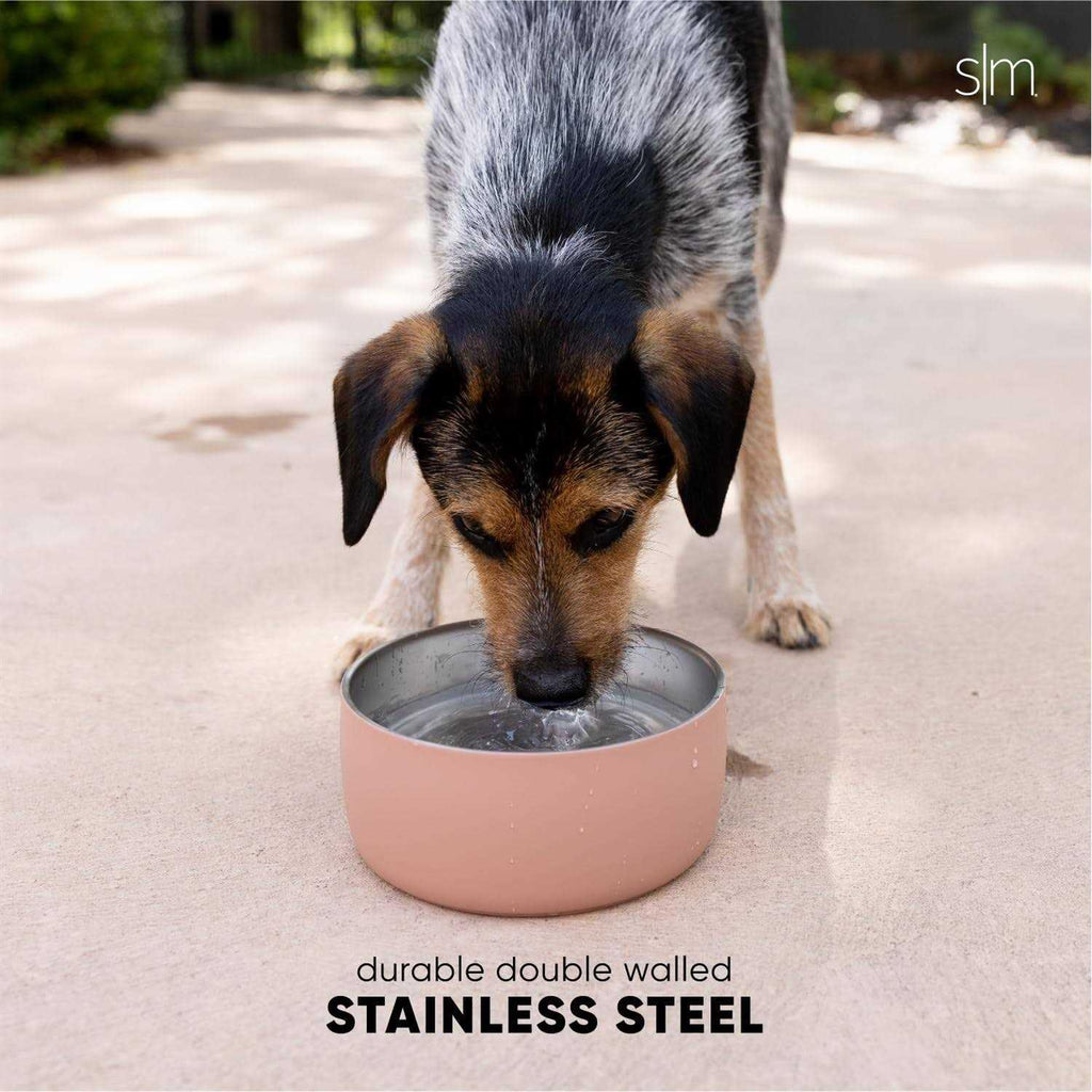Stainless Steel Pet Water Bowl Q1864