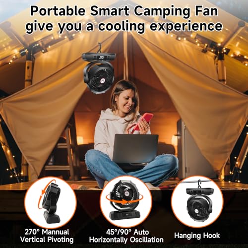 Camping Fan with LED Lantern, 40000mAh Rechargeable Portable Fan with Remote, Black R735