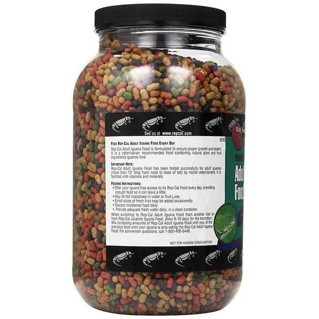 Adult Iguana Food J362