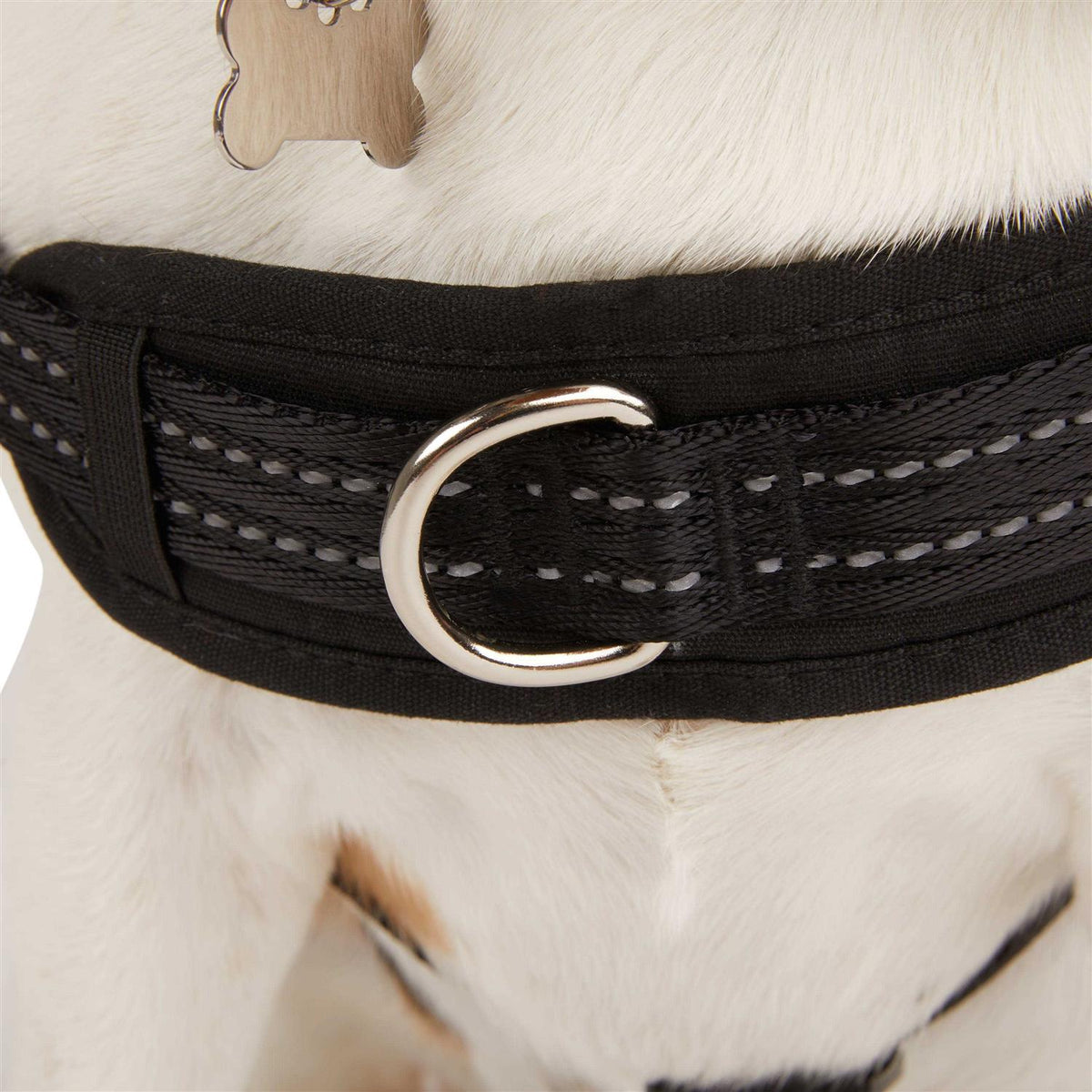 Easy On Training Dog Harness O751
